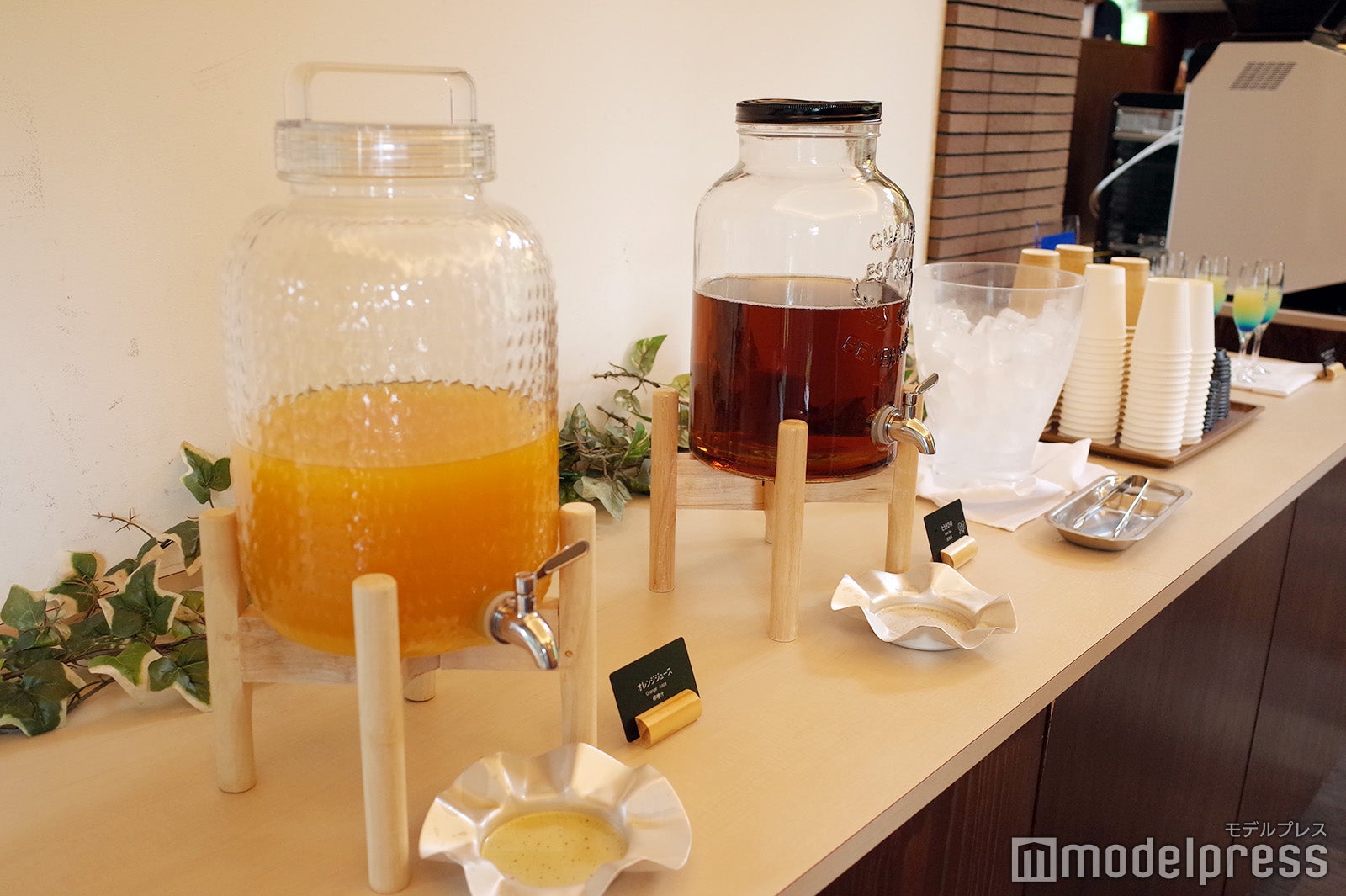 星野リゾート　トマム（C）モデルプレス