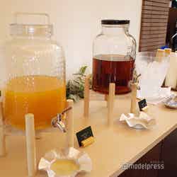 星野リゾート トマム(C)モデルプレス