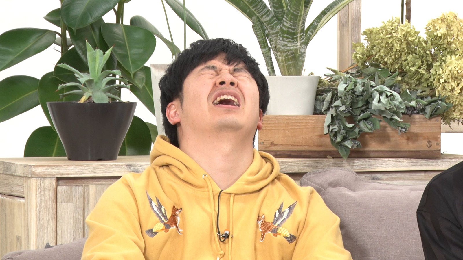 若林正恭／「あいのり：Asian Journey」第22話より（C）フジテレビ