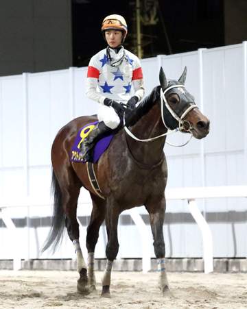 【地方競馬】川崎記念 1番人気アウトレンジは3着 G1級4度目の挑戦も末脚届かず 坂井「力は出してくれたかなと」