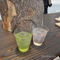 関西パビリオン/和歌山ゾーン(C)モデルプレス