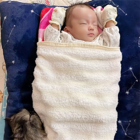 41歳で出産のmisono、愛猫が息子に寄り添う“おやすみショット”に「最高の癒し」と反響