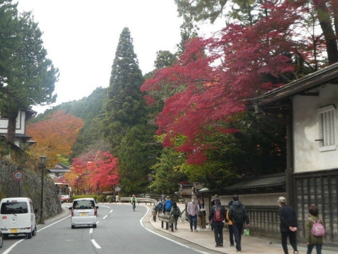 多くの寺院が集まる高野山内の国道沿いで見られる紅葉・黄葉(2021年11月6日撮影)