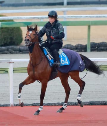 【日経新春杯】ファミリータイム 得意の距離で逆襲だ 岩佐助手「順調に乗り込めています」上昇ムード漂う