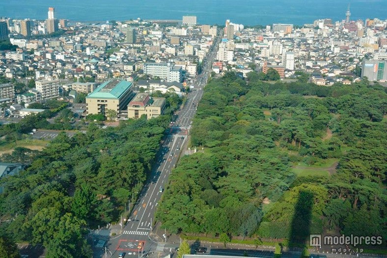 公園と住宅街のビル群を滑走／画像提供：Slide the City JAPAN