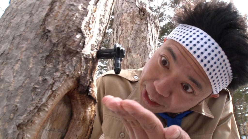 サンシャイン池崎（C）TBS