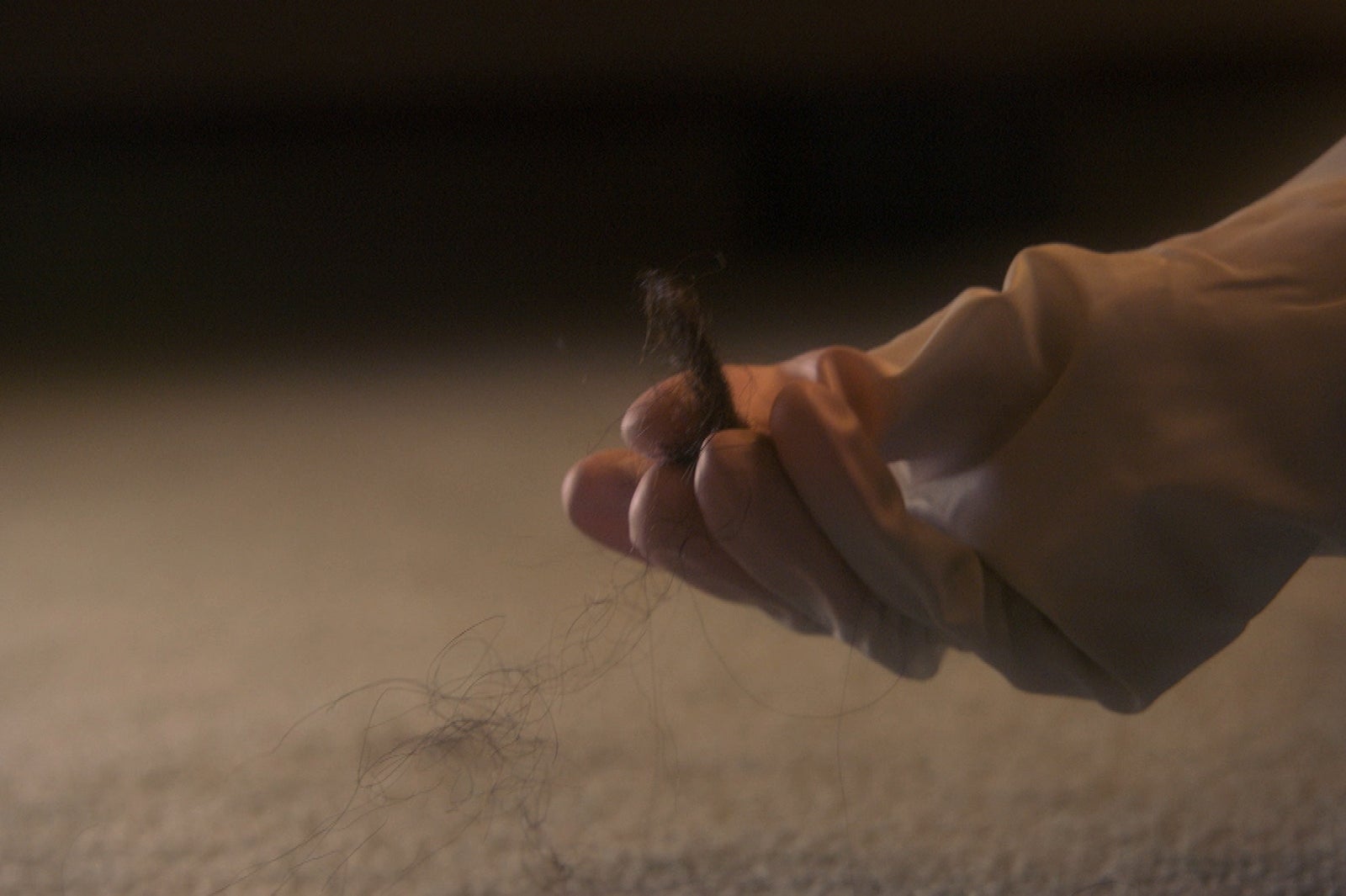 カーペットをキレイにするには？（C）テレビ朝日