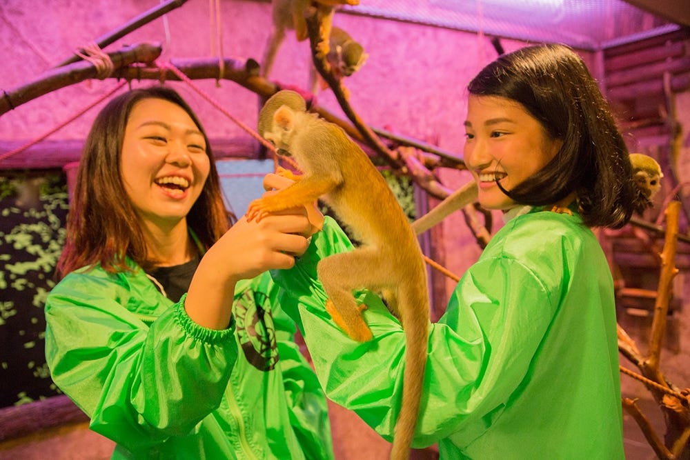 可愛いリスザルと遊べるレストランバーが東京にオープン