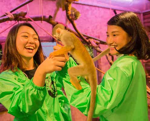 可愛いリスザルと遊べるレストランバーが東京にオープン