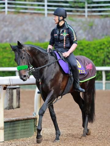 【皐月賞】ロブチェン 前走以上の仕上がり強調 房野助手「納得のいく状態」 ホープフルSと同枠に「いいところ。このままの雰囲気で行ければ」
