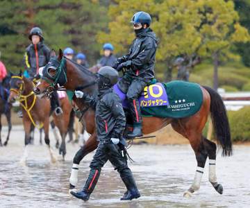 【高松宮記念】パンジャタワー 最内さばいてG1.2勝目だ 橋口師は万全の態勢強調「思い通りに仕上がった」