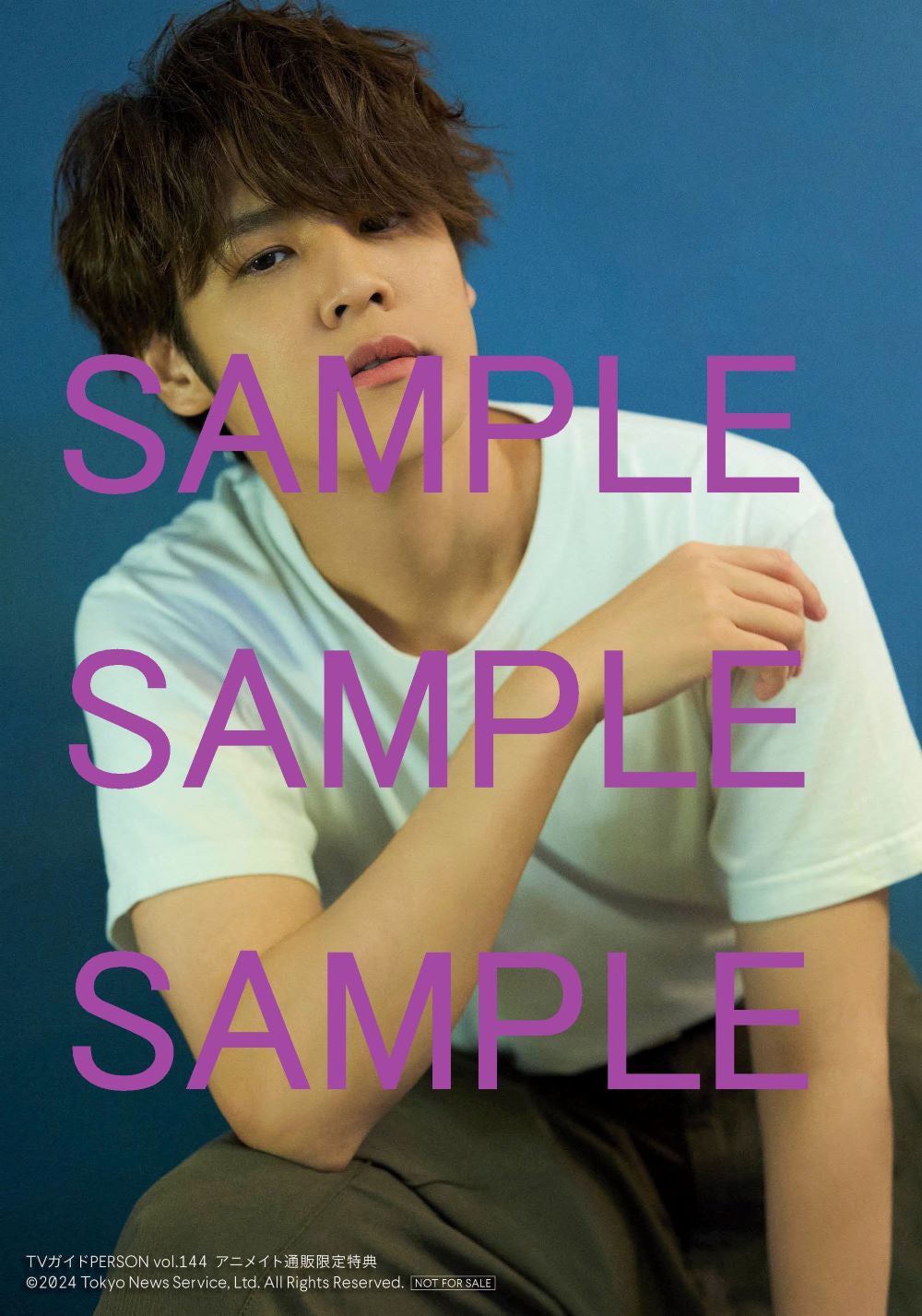 宮野真守（提供写真）