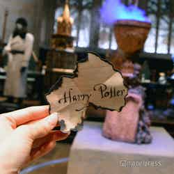 炎のゴブレット/ワーナー ブラザース スタジオツアー東京 – メイキング・オブ・ハリー・ポッター(C)モデルプレス