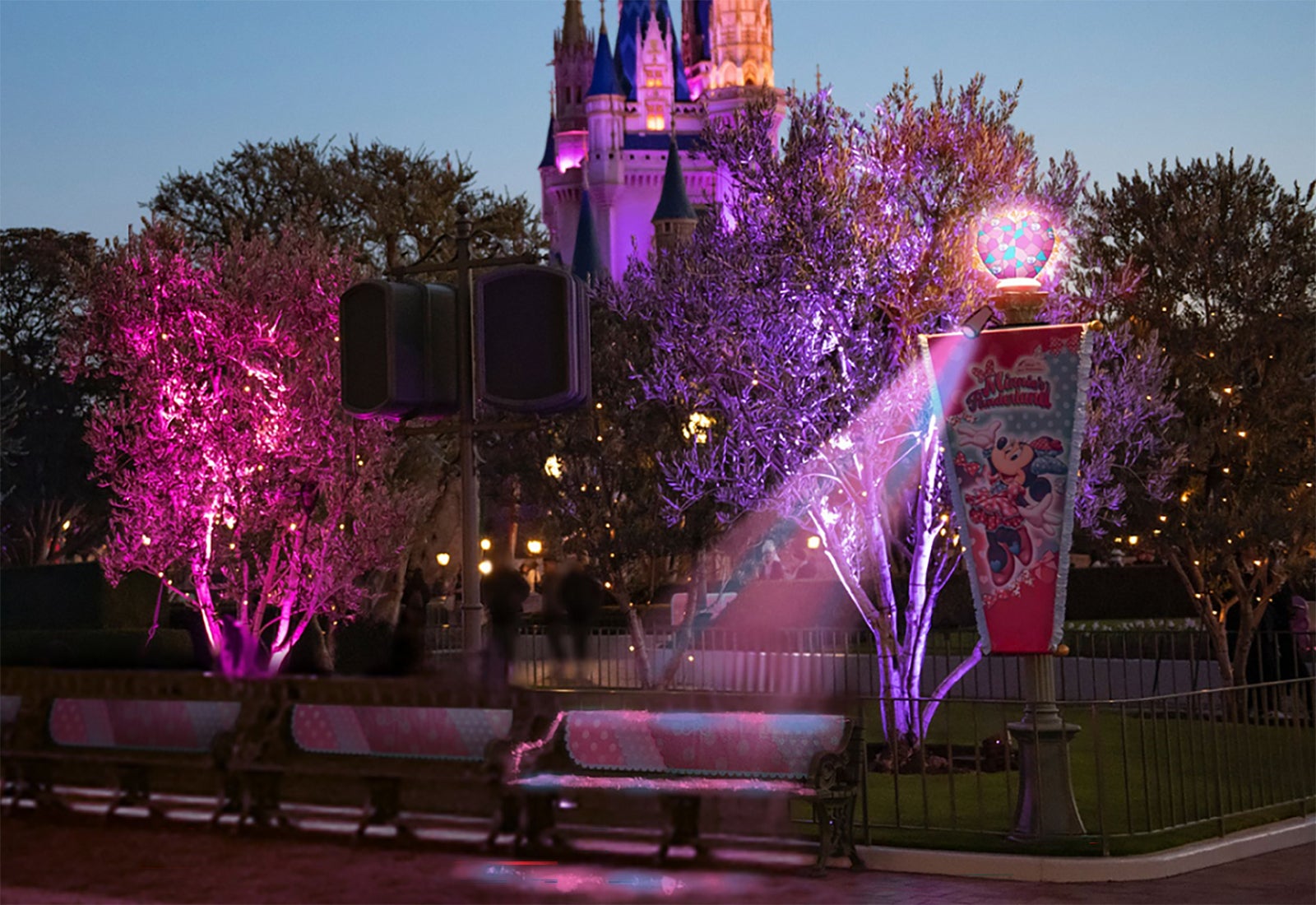 東京ディズニーランド「ファンダーナイト」（C） Disney