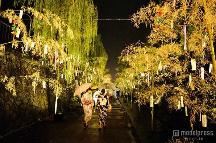 京都の街が七夕一色に 織姫と彦星の恋物語を描く 女子旅プレス
