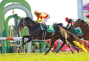 昨年の京都2歳S覇者ジャスティンビスタが右第1指骨剥離骨折