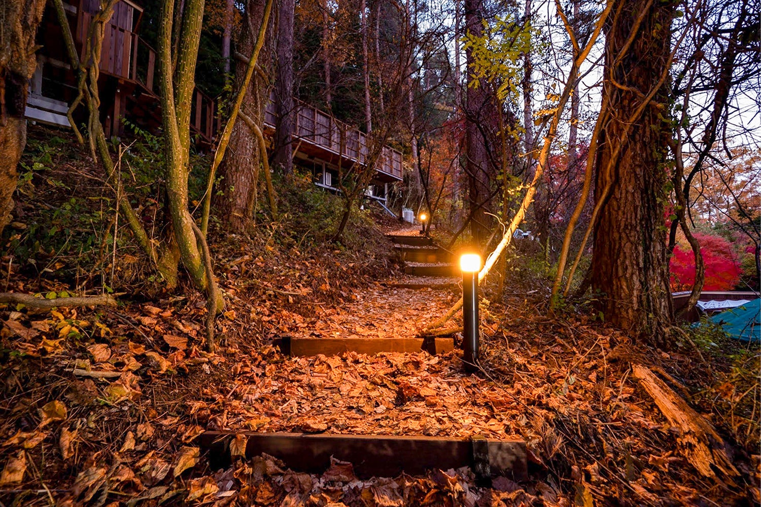 Altitude-アルティチュード-939／画像提供：ブッキングリゾート