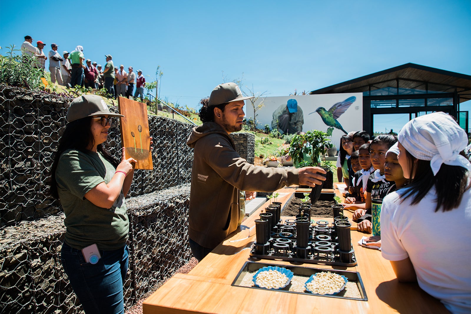 ハシエンダ アルサシア ビジターセンター／画像提供：スターバックス コーヒー ジャパン