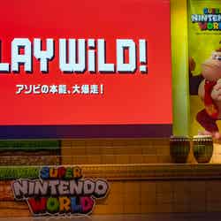 合同会社ユー・エス・ジェイ副社長 CMOの村山卓/画像提供:ユニバーサル・スタジオ・ジャパン