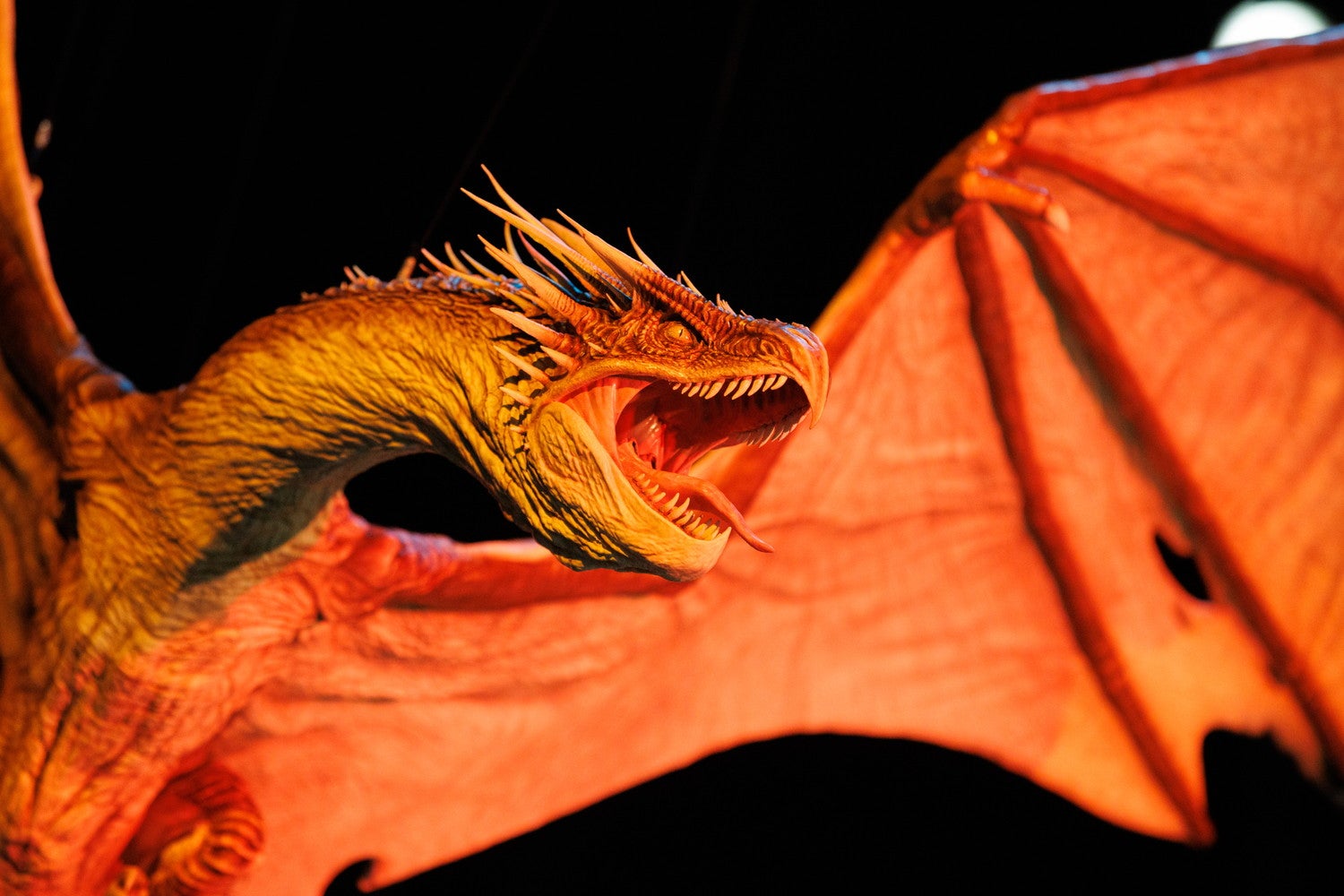 ワーナー ブラザース スタジオツアー東京 - メイキング・オブ・ハリー・ポッター／提供画像