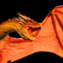 ワーナー ブラザース スタジオツアー東京 - メイキング・オブ・ハリー・ポッター/提供画像