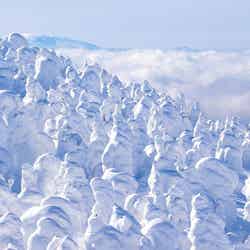 冬に行きたい「雪まつり・イベント」ランキング! 2位「蔵王樹氷まつり」、1位は?【専門家解説】