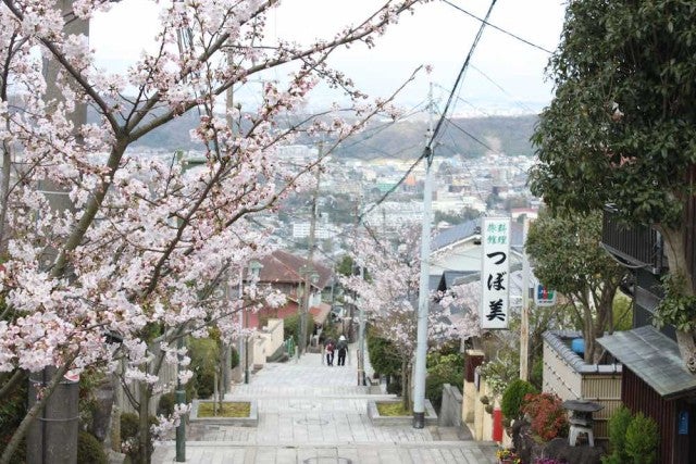 1日中楽しめる！奈良の「絶景パワースポット」【奈良県生駒市】