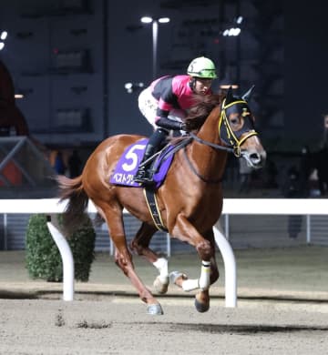 【地方競馬】ベストグリーンが招待されたサウジダービーに出走予定