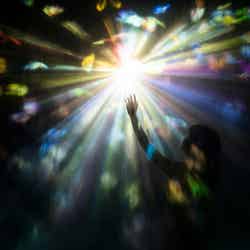 チームラボリコネクト:アートとサウナ 六本木/画像提供:チームラボ