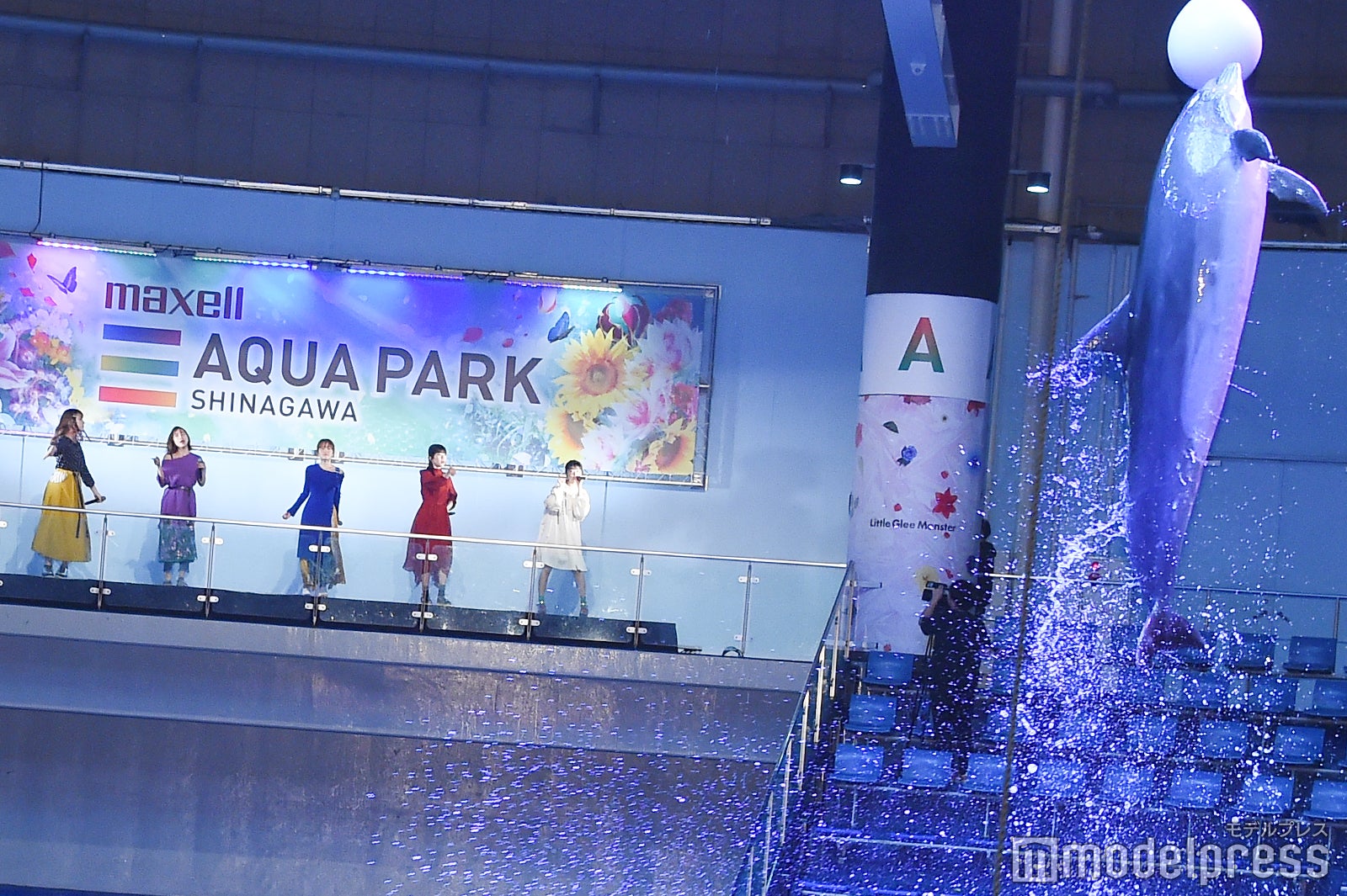 リトグリとイルカ（左から）かれん、MAYU、芹奈、manaka、アサヒ（C）モデルプレス