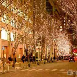 丸の内オリジナルカラーのシャンパンゴールドのイルミネーション(過去開催時の様子)