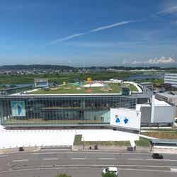 富山県美術館/画像提供:富山県