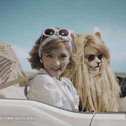 「三井アウトレットパーク」新CM「レッツ!ドライブ」篇より