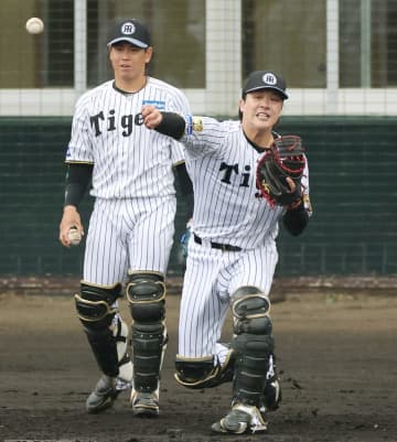 阪神・藤川監督 伏見の捕手としての姿勢を絶賛「非常に優れていますよね」投手との積極的コミュ「経験から来るものだと思う」