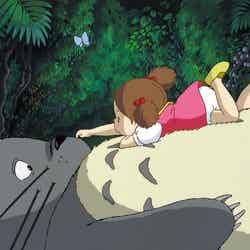 となりのトトロのワンシーン（C）1988 Studio　Ghibli