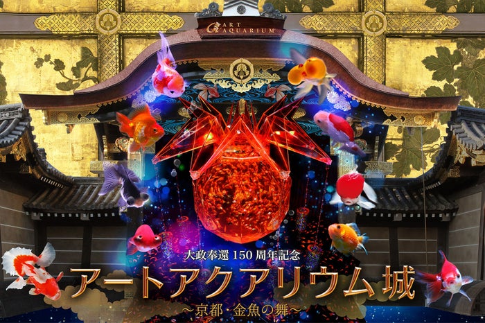 京都で観る金魚の舞 史上最大規模 アートアクアリウム城 艶やかな舞との雅な融合も 女子旅プレス