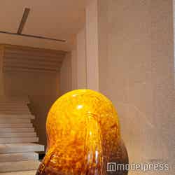 フォーシーズンズホテル大阪(C)モデルプレス