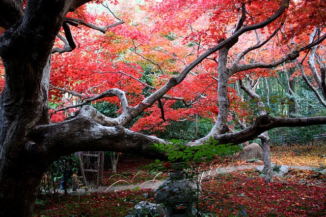 厭離庵 by cyesuta