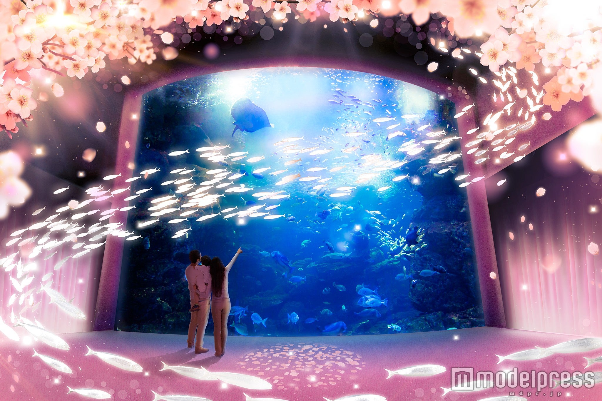 情緒溢れる桜が満開に「京都水族館」の春限定アートでお花見気分