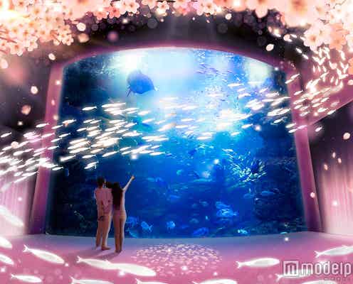 情緒溢れる桜が満開に「京都水族館」の春限定アートでお花見気分