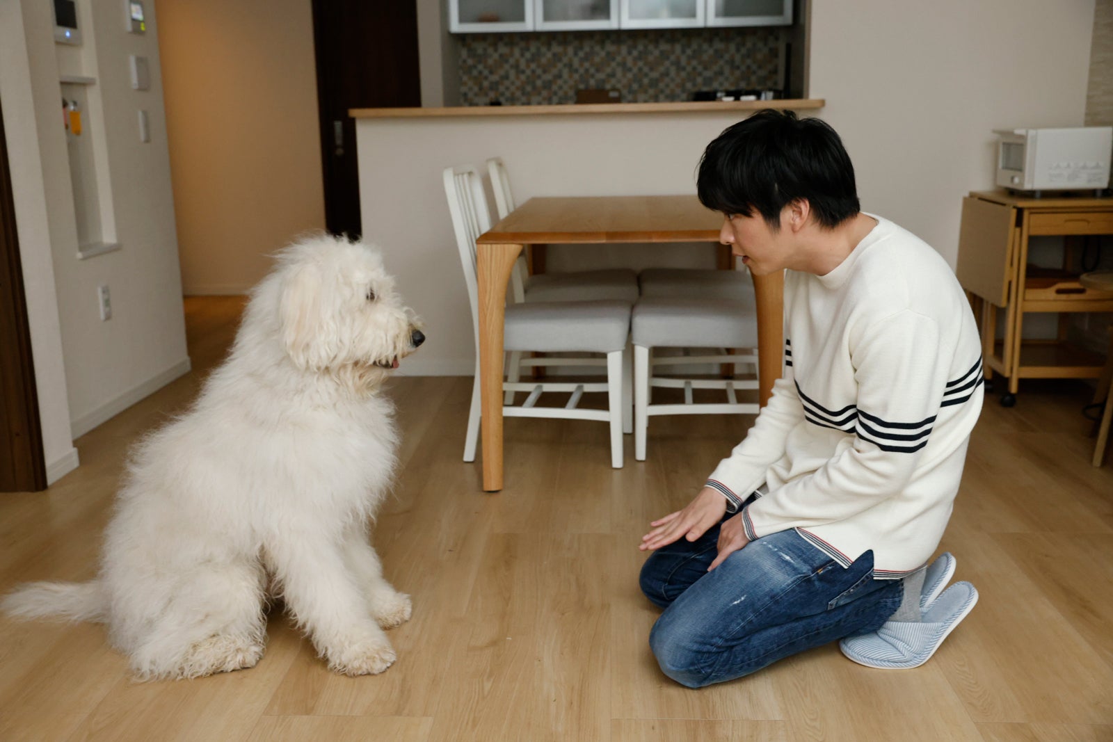 ベック、田中圭（C）2022「ハウ」製作委員会