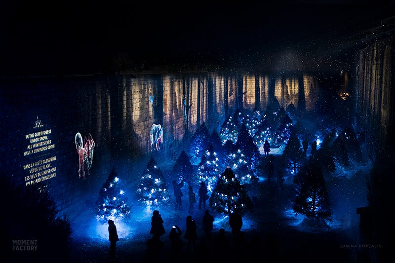 体験型ナイトウォーク「ルミナ(UMINA)」日本初上陸、感動の光と映像の世界へ