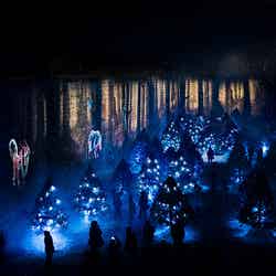 体験型ナイトウォーク「LUMINA BOREALIS」の様子/画像提供:カトープレジャーグループ