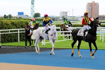 注目の白毛馬G1.3勝馬ソダシの半妹スノーウィスパーの初陣は6着 須貝師「次はダートのレースを考えます」