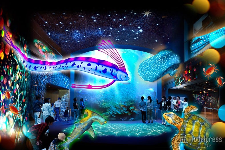 3Dプロジェクションマッピングが京都水族館を彩る 深海や氷の世界を表現