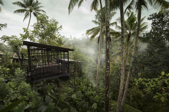 熱帯の樹々が繁り、鳥が飛び交う／画像提供：星野リゾート