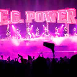 『E.G.POWER 2019 ～POWER to the DOME～』の様子（提供写真）