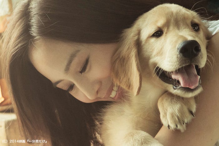 映画「一分間だけ」
