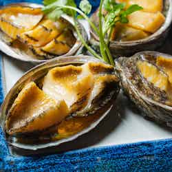 グランプレミア瀬戸内/画像提供:讃岐煉瓦