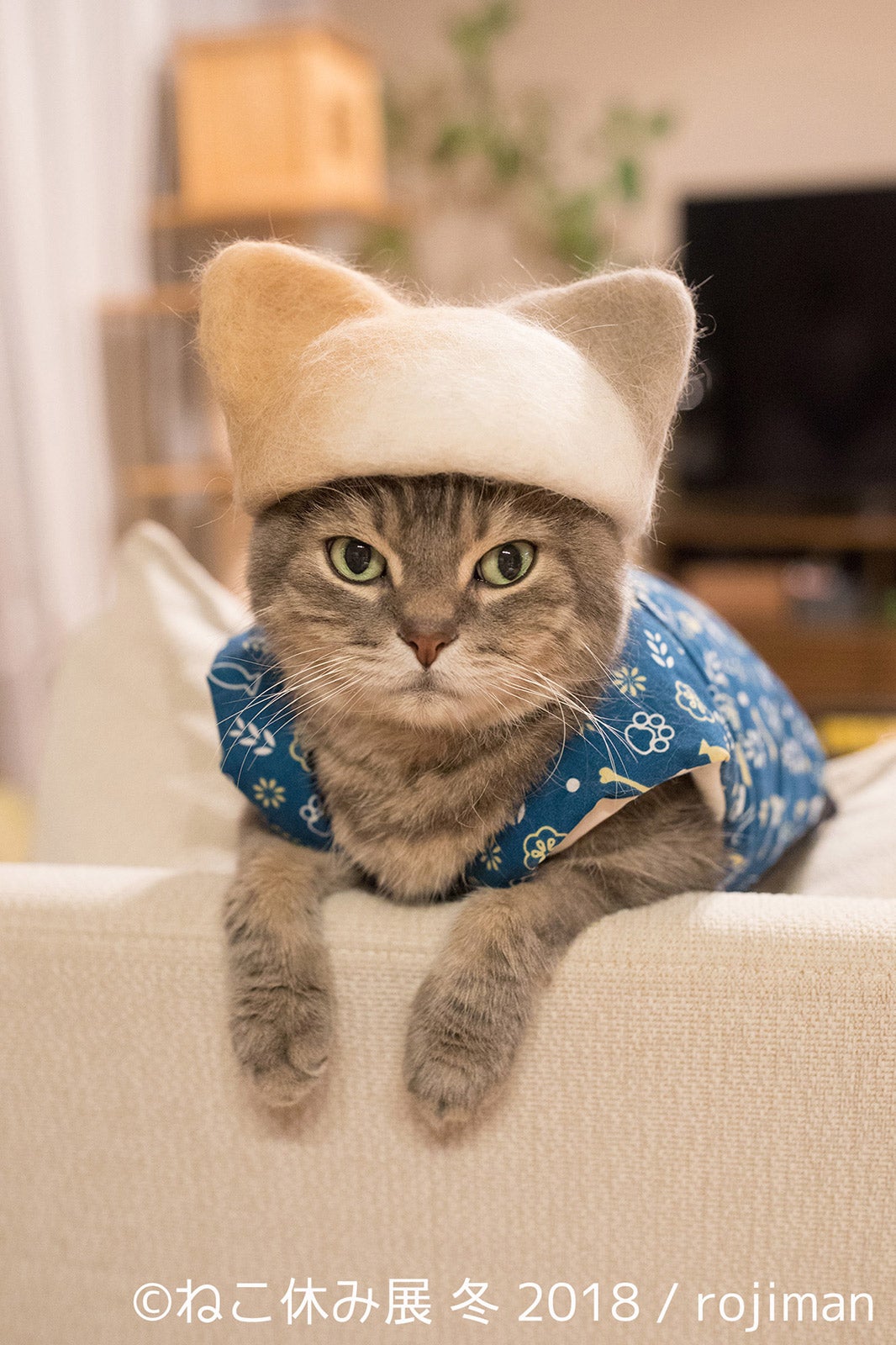 展示作品／画像提供：株式会社BACON